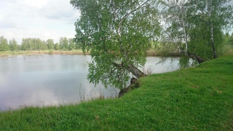 Прикрепленное изображение