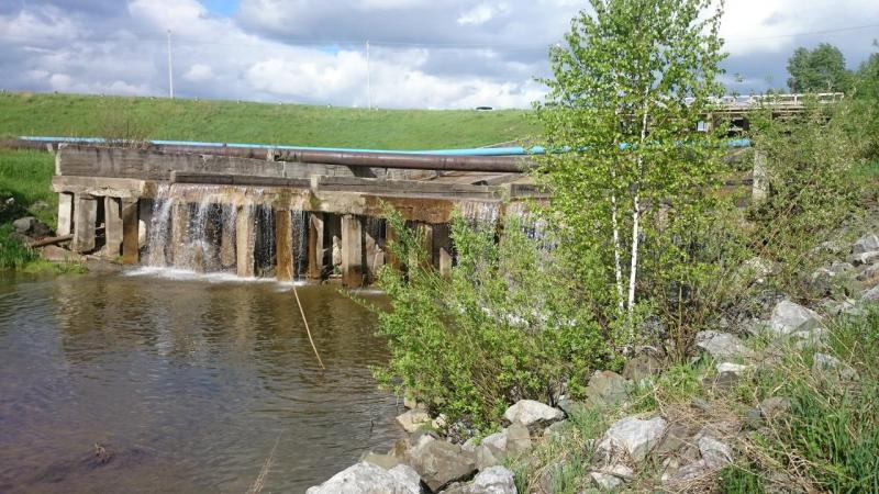 Прикрепленное изображение