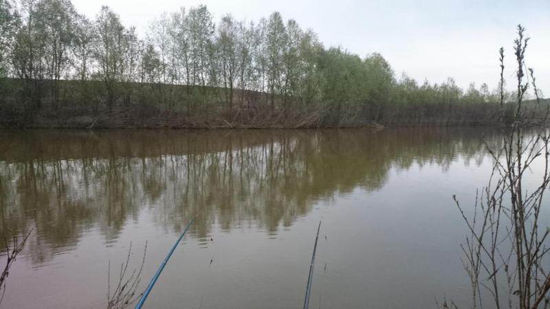 Прикрепленное изображение