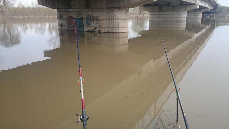 Прикрепленное изображение