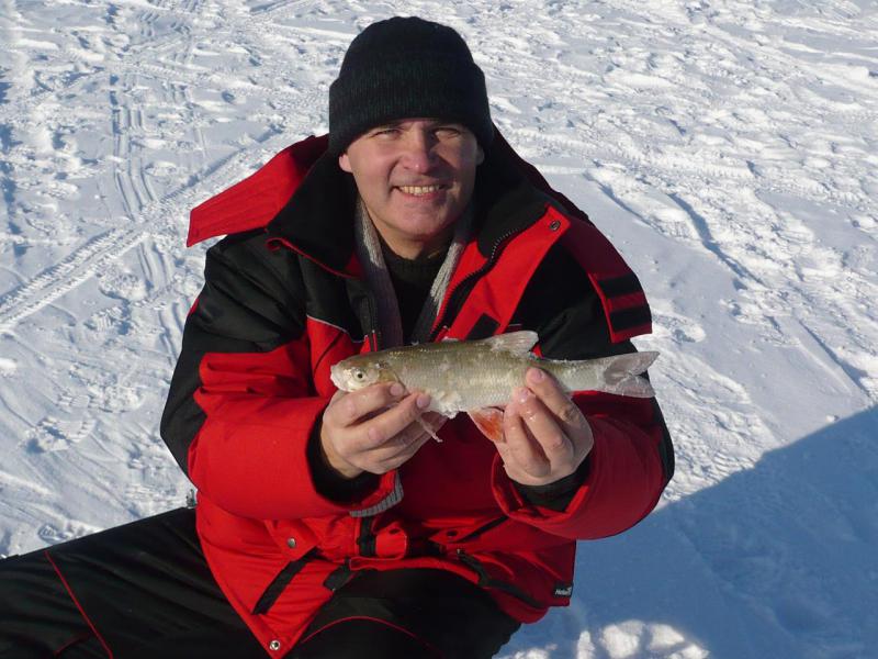 Прикрепленное изображение