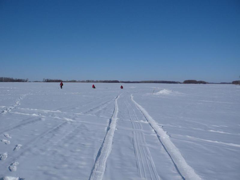 Прикрепленное изображение