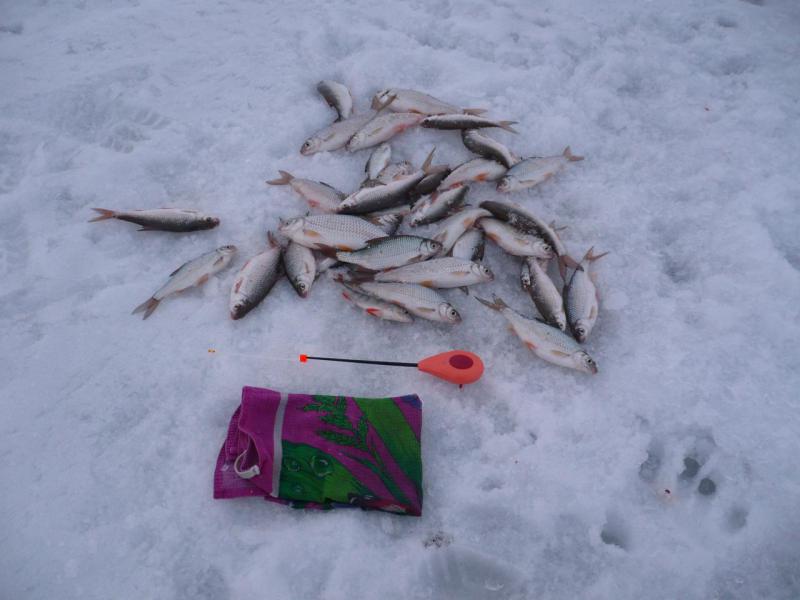 Прикрепленное изображение