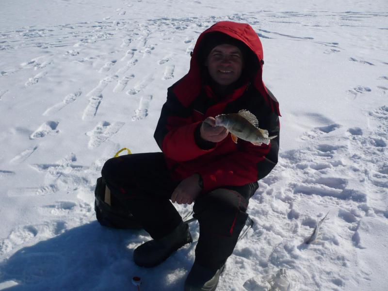 Прикрепленное изображение