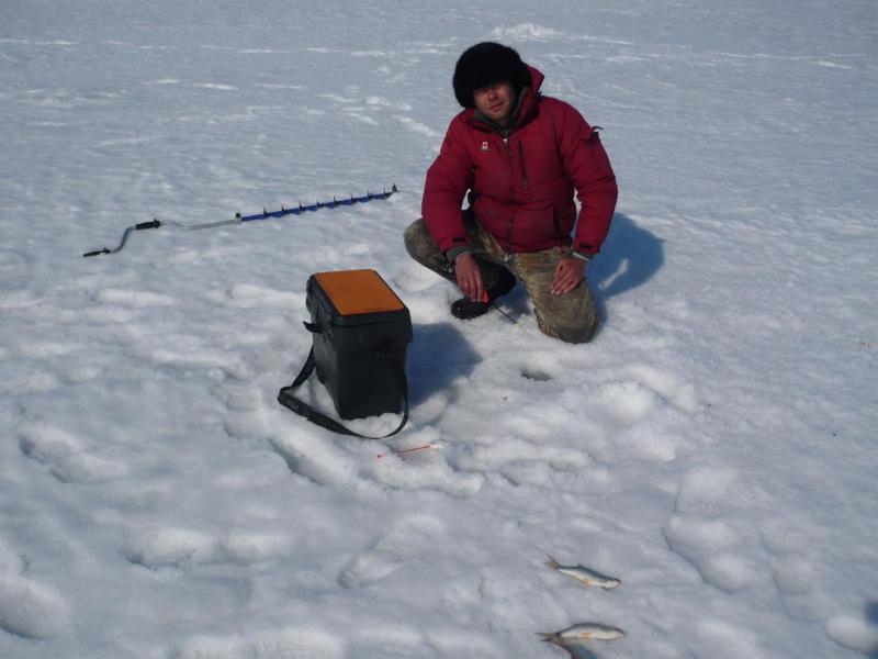 Прикрепленное изображение