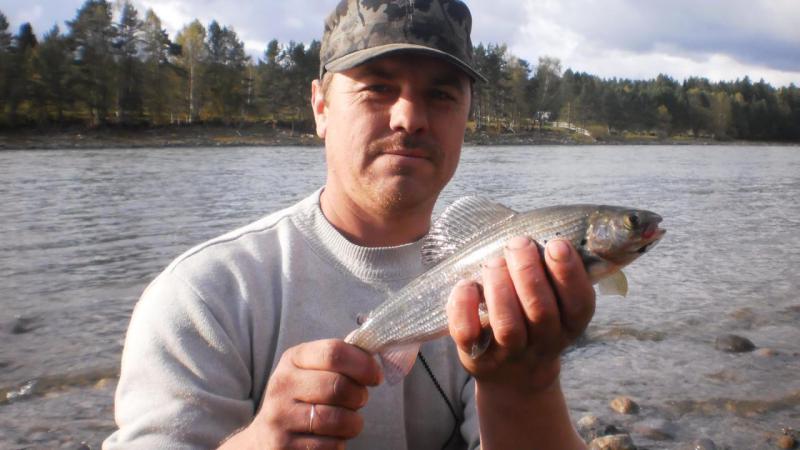 Прикрепленное изображение