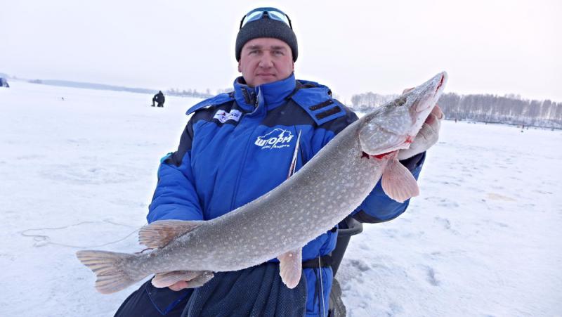 Прикрепленное изображение