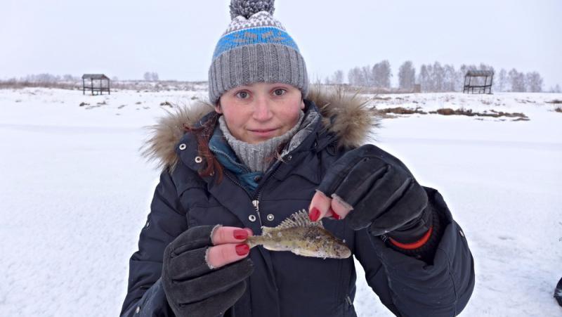 Прикрепленное изображение