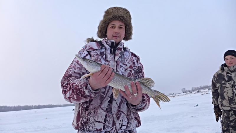 Прикрепленное изображение