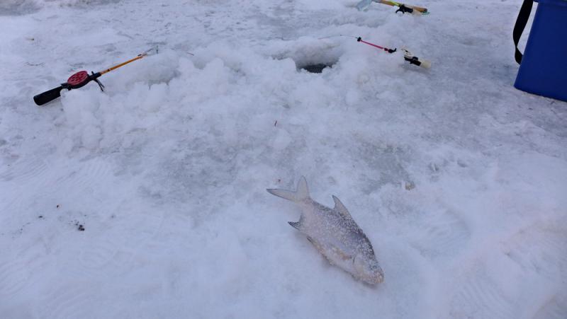 Прикрепленное изображение