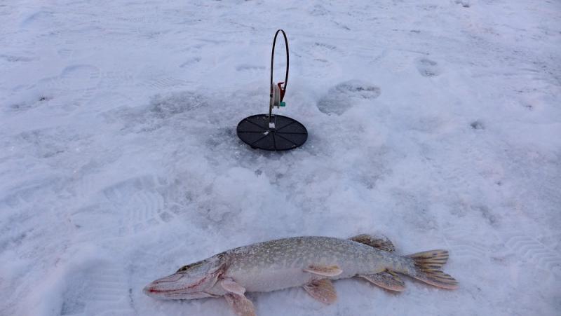 Прикрепленное изображение