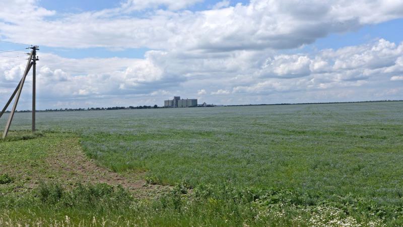 Прикрепленное изображение