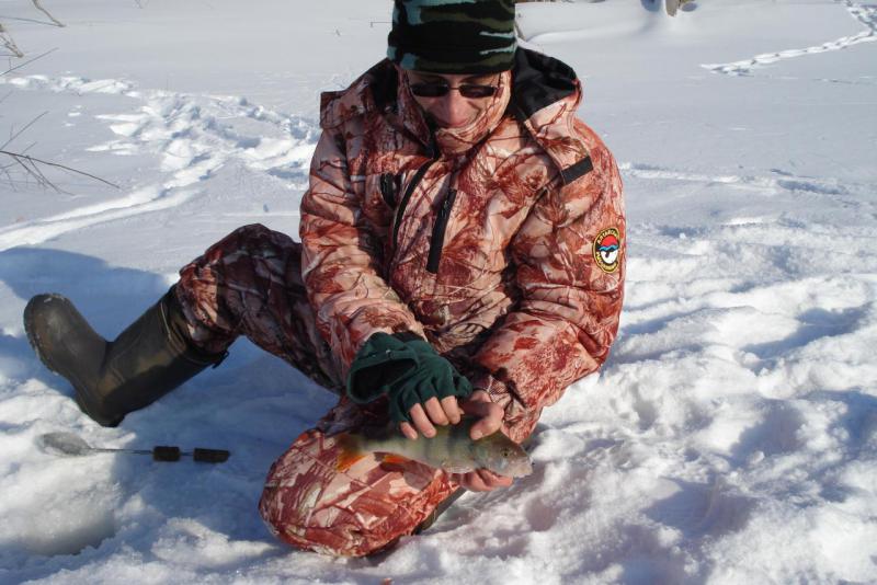 Прикрепленное изображение