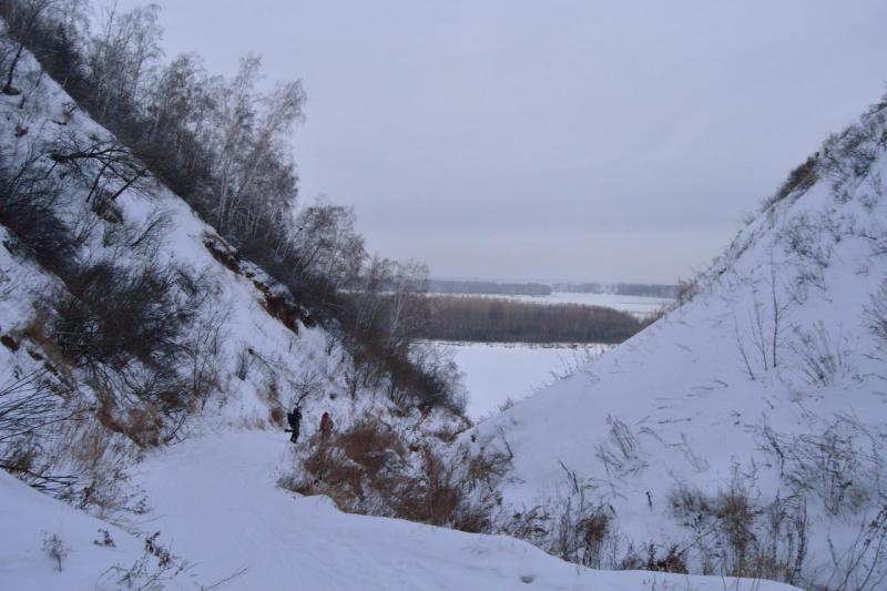 Прикрепленное изображение