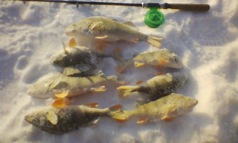 Прикрепленное изображение