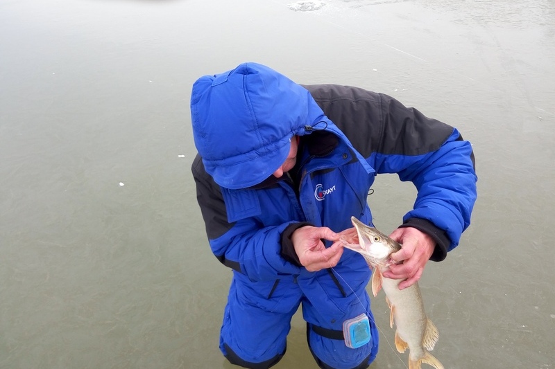 Прикрепленное изображение