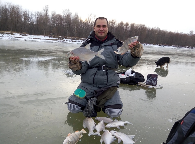 Прикрепленное изображение