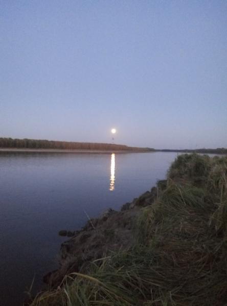 Прикрепленное изображение