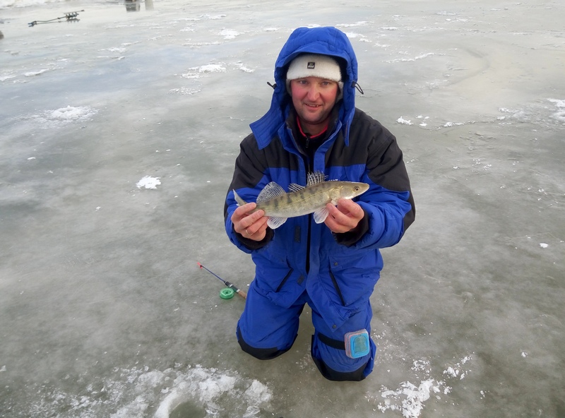 Прикрепленное изображение