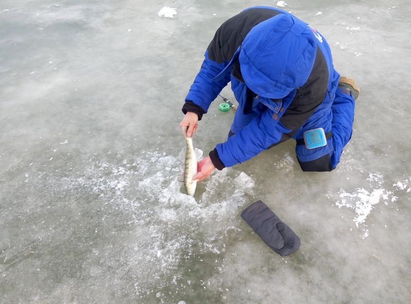 Прикрепленное изображение