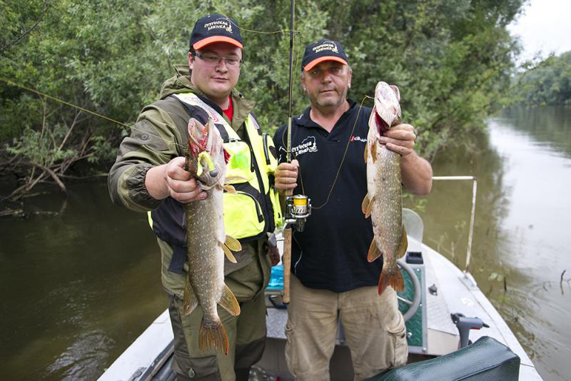 Прикрепленное изображение