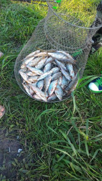 Прикрепленное изображение: ccs-511-0-95941000-1471341232.jpg