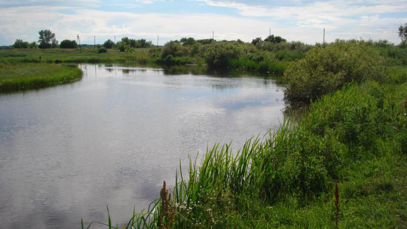 Прикрепленное изображение: DSC06694.JPG