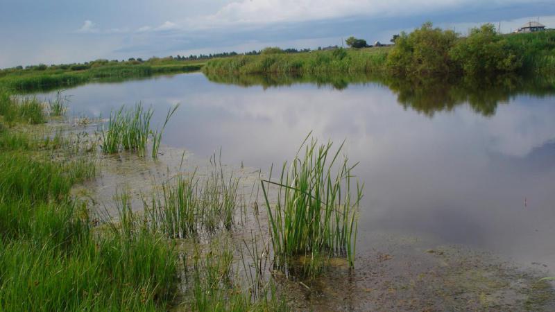 Прикрепленное изображение: DSC06699.JPG