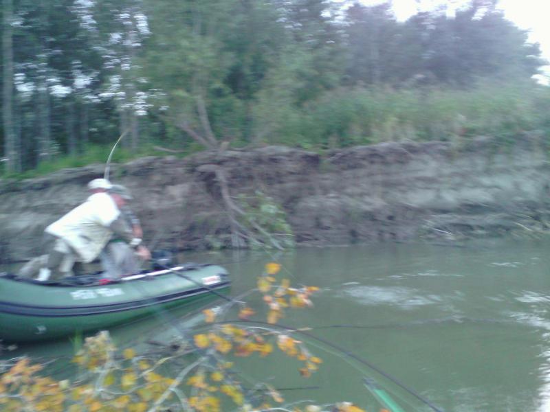 Прикрепленное изображение: IMG_20150829_173137.jpg