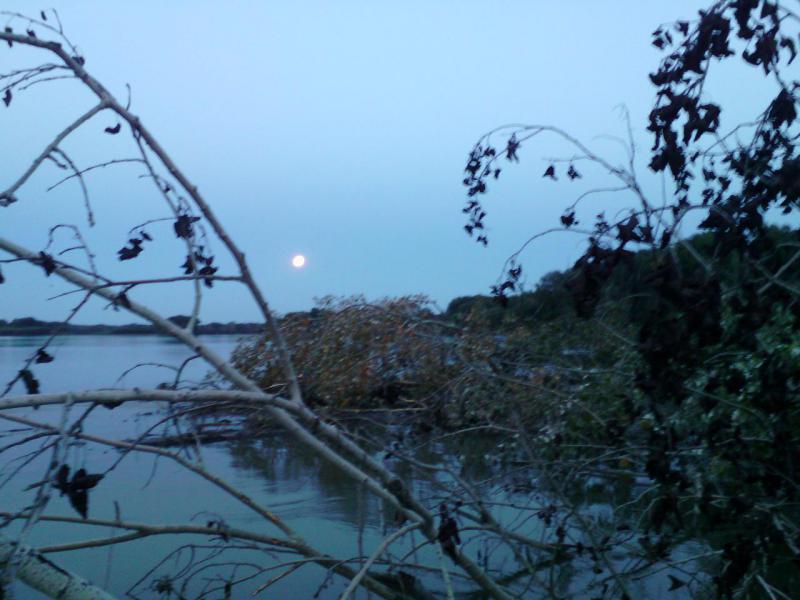 Прикрепленное изображение: IMG_20150829_174828.jpg