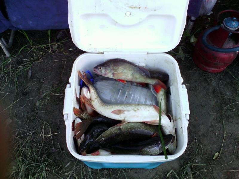 Прикрепленное изображение: IMG_20150829_151131.jpg