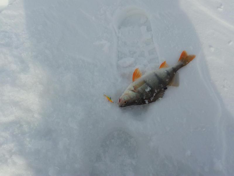 Прикрепленное изображение: IMG_20170225_154901.jpg