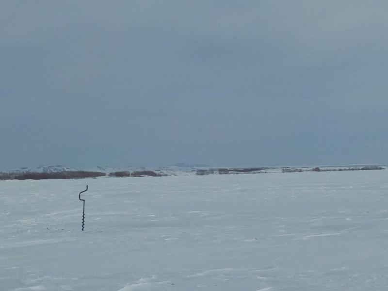 Прикрепленное изображение: IMG_20170225_144535.jpg