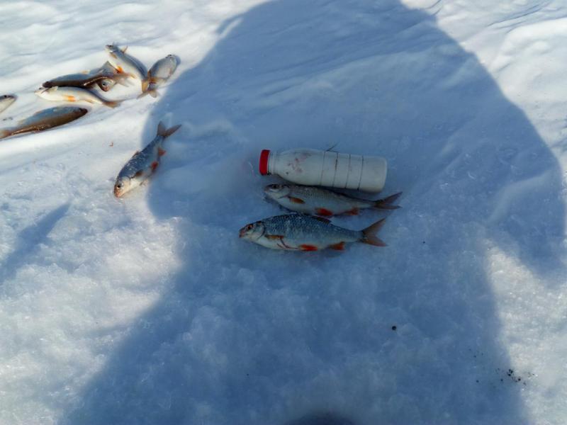 Прикрепленное изображение: IMG_20170226_121609.jpg