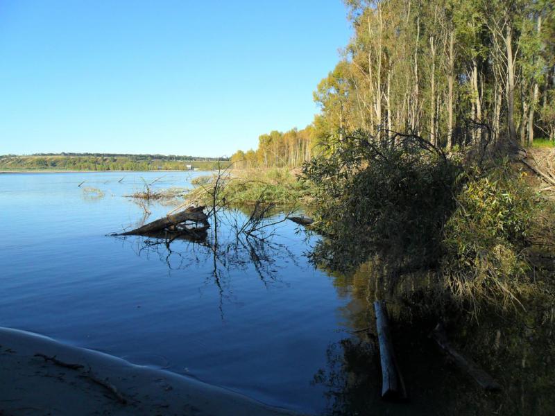 Прикрепленное изображение: SAM_2757.JPG