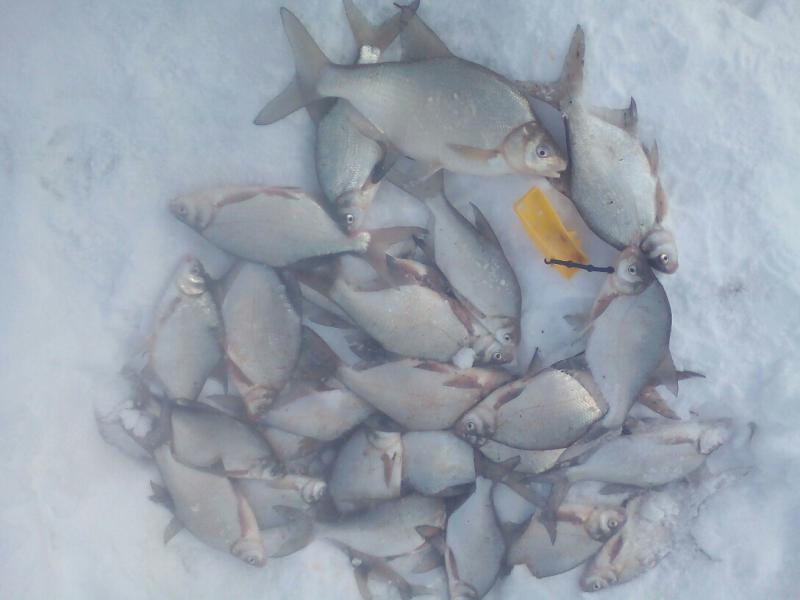 Прикрепленное изображение: KrFc4RQkTfw.jpg