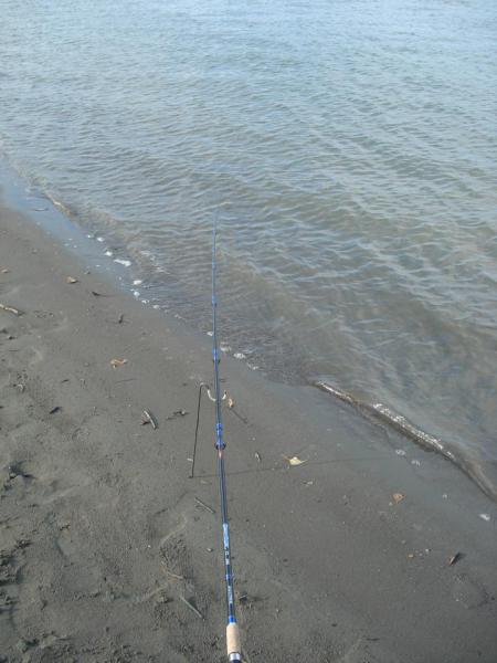 Прикрепленное изображение: DSC05634.JPG