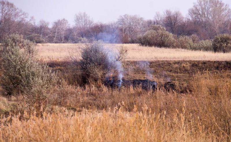 Прикрепленное изображение: DSC06631.jpg