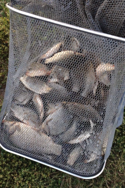 Прикрепленное изображение: IMG_3515.PNG