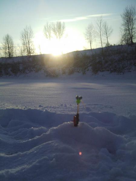 Прикрепленное изображение: SUNP0006.JPG