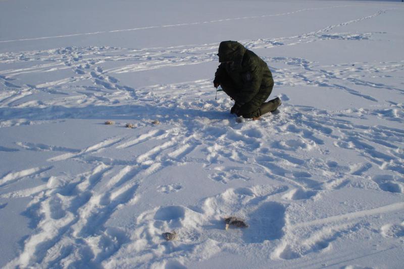 Прикрепленное изображение: DSC03455.JPG