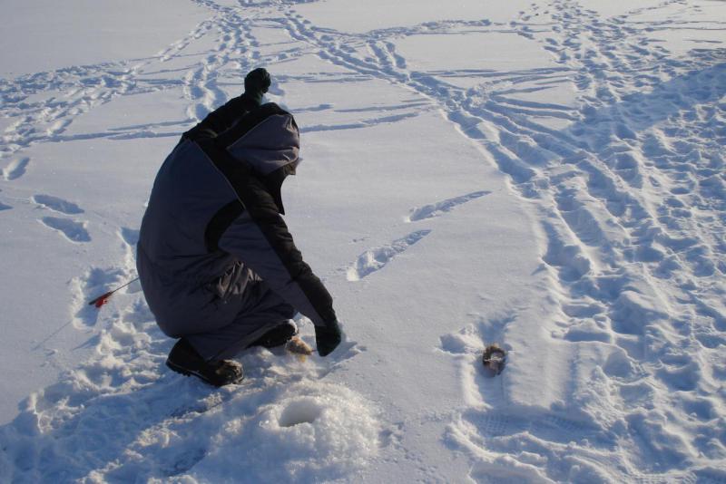 Прикрепленное изображение: DSC03451.JPG