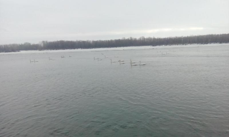 Прикрепленное изображение: IMG_20160228_113736.jpg