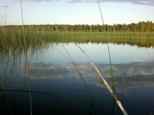 Прикрепленное изображение: Foto-0001-500x375.jpg