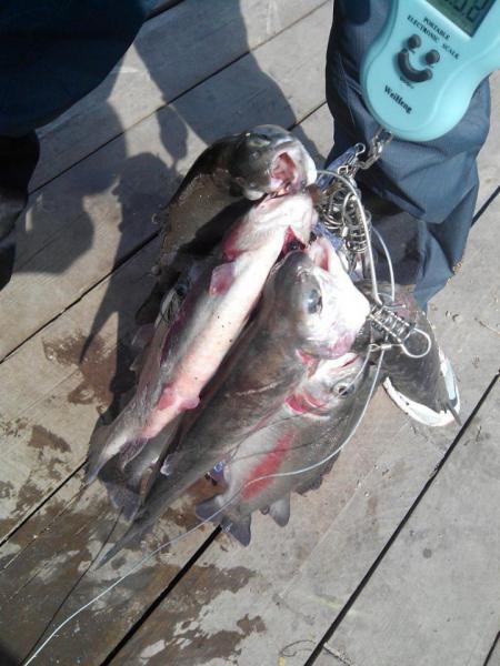 Прикрепленное изображение: 6Qb6cWMpntY.jpg