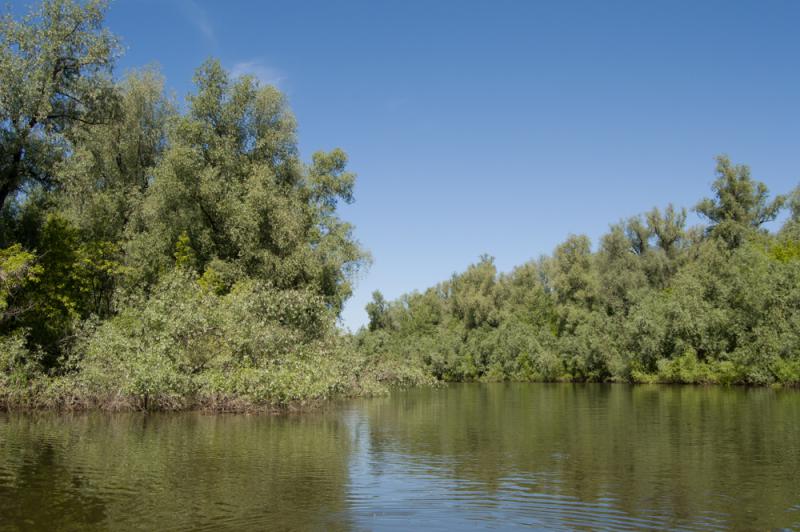 Прикрепленное изображение: DSC_8704.jpg
