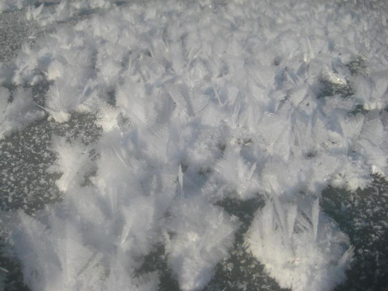 Прикрепленное изображение: IMG_5906.JPG