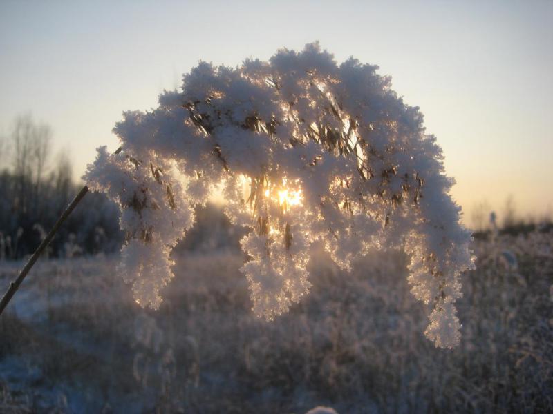 Прикрепленное изображение: IMG_6062.JPG
