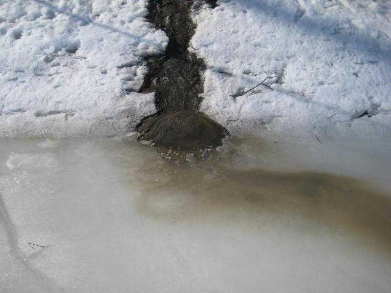 Прикрепленное изображение: IMG_5015.JPG