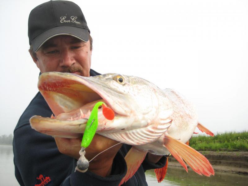 Прикрепленное изображение: IMG_5498.JPG